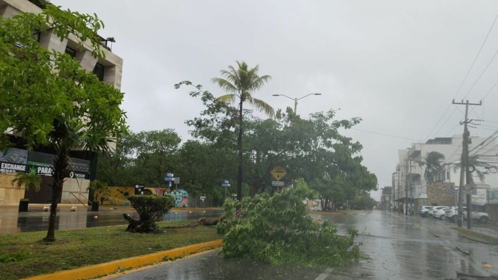 Semáforos afectados, árboles caídos y algunas zonas sin luz en Playa del Carmen tras el paso de "Beryl"