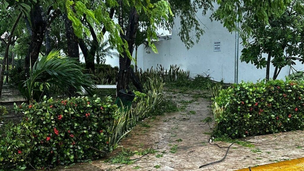 Galería de imágenes de Playa del Carmen después del paso del huracán Beryl