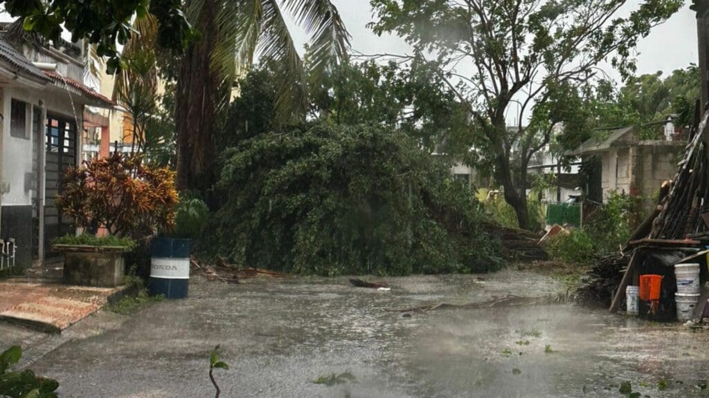 Galería de imágenes de Playa del Carmen después del paso del huracán Beryl