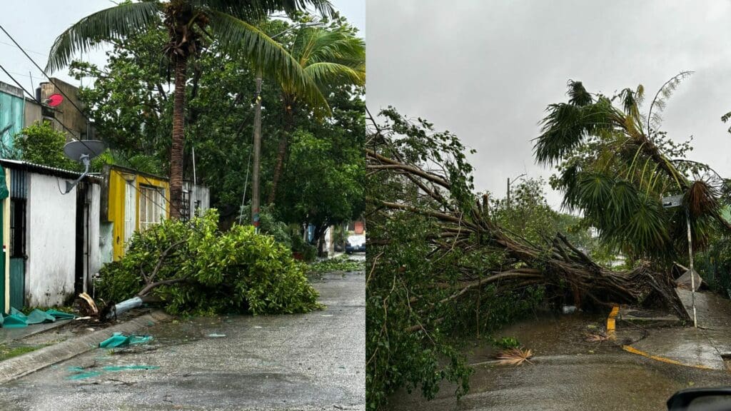 Galería de imágenes de Playa del Carmen después del paso del huracán Beryl