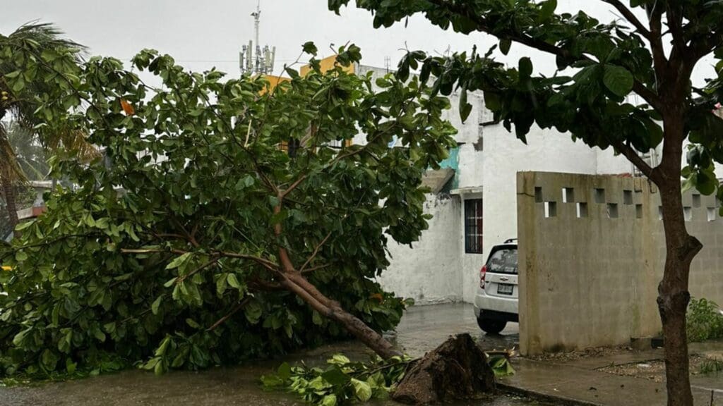 Galería de imágenes de Playa del Carmen después del paso del huracán Beryl