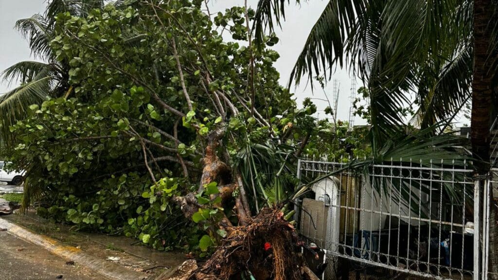 Galería de imágenes de Playa del Carmen después del paso del huracán Beryl