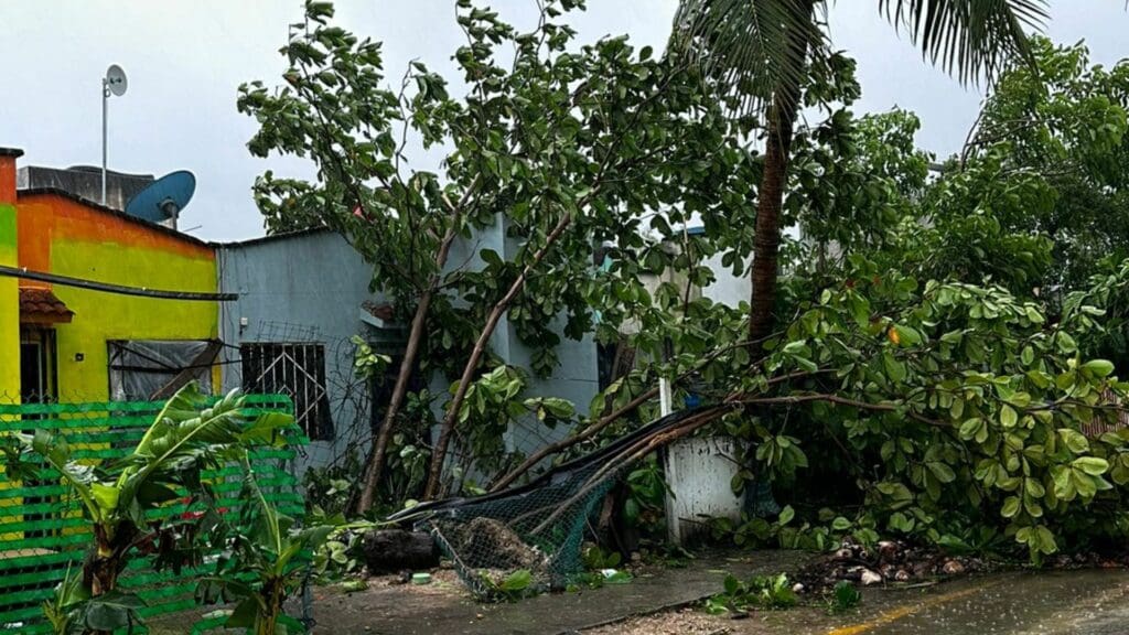Galería de imágenes de Playa del Carmen después del paso del huracán Beryl