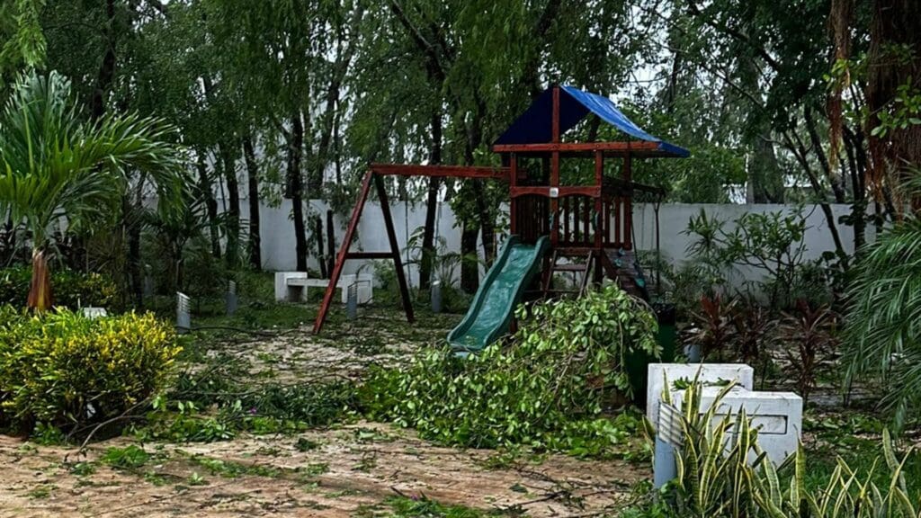 Galería de imágenes de Playa del Carmen después del paso del huracán Beryl