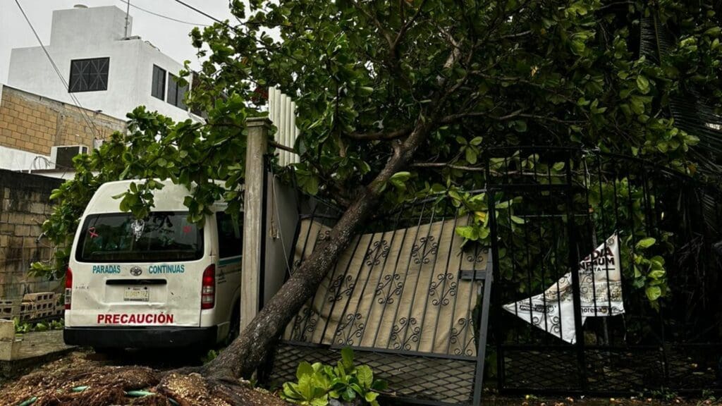 Galería de imágenes de Playa del Carmen después del paso del huracán Beryl