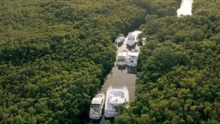 Manglares en laguna Nichupté sí protegieron embarcaciones; sin embargo, esa medida causó polémica